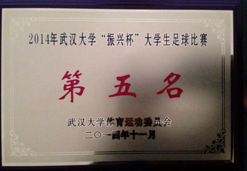 “文”里“文”外，同样精彩——记哔哩轻小说勇夺振兴杯足球第五名、排球“4+2”亚军